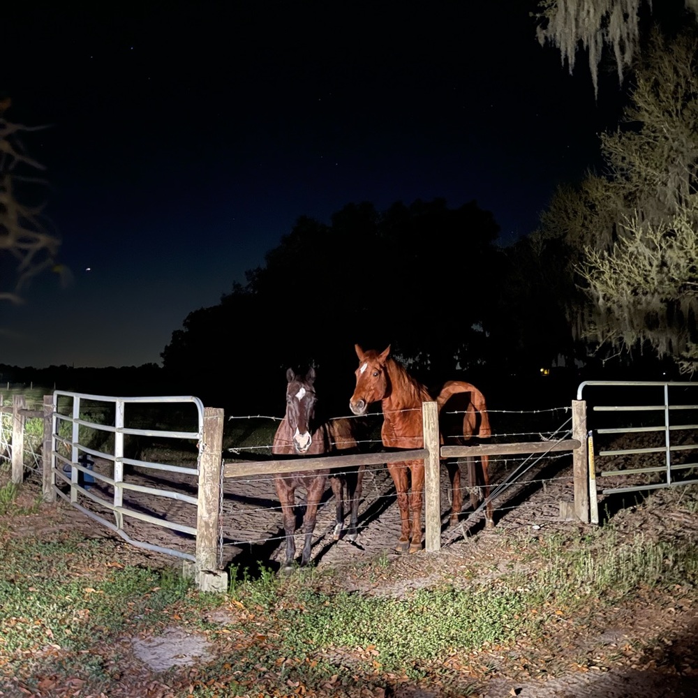 Meet your Posher, Mel